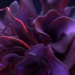 Probiotiques flore intime : Secret 2026 10 Gros plan abstrait symbolisant l'équilibre et la santé intime